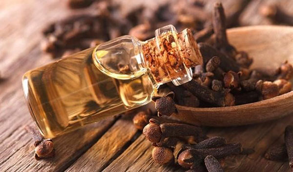 Tinh dầu đinh hương thường được sử dụng để chữa đau răng hiệu quả