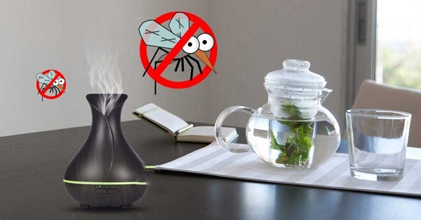 Máy xông tinh dầu đuổi muỗi