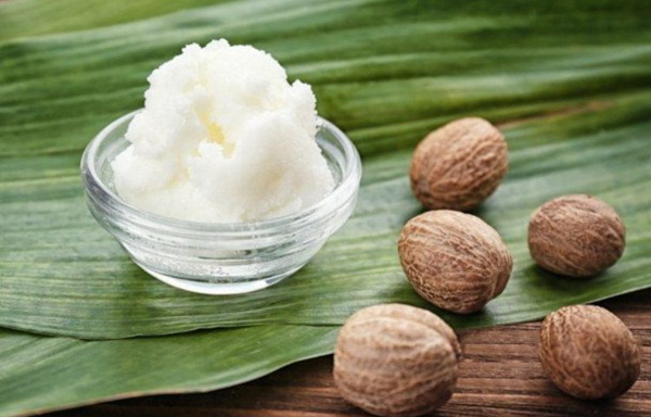 Lựa chọn thay thế cho dầu dừa