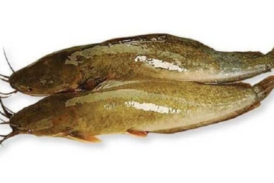 ca la han nuoi chung2