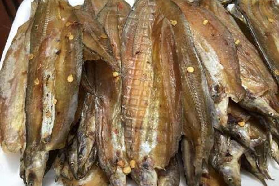 Cá Mối làm món gì Ngon? Giá bao nhiêu? mua, Bán ở đâu 5 ca moi5