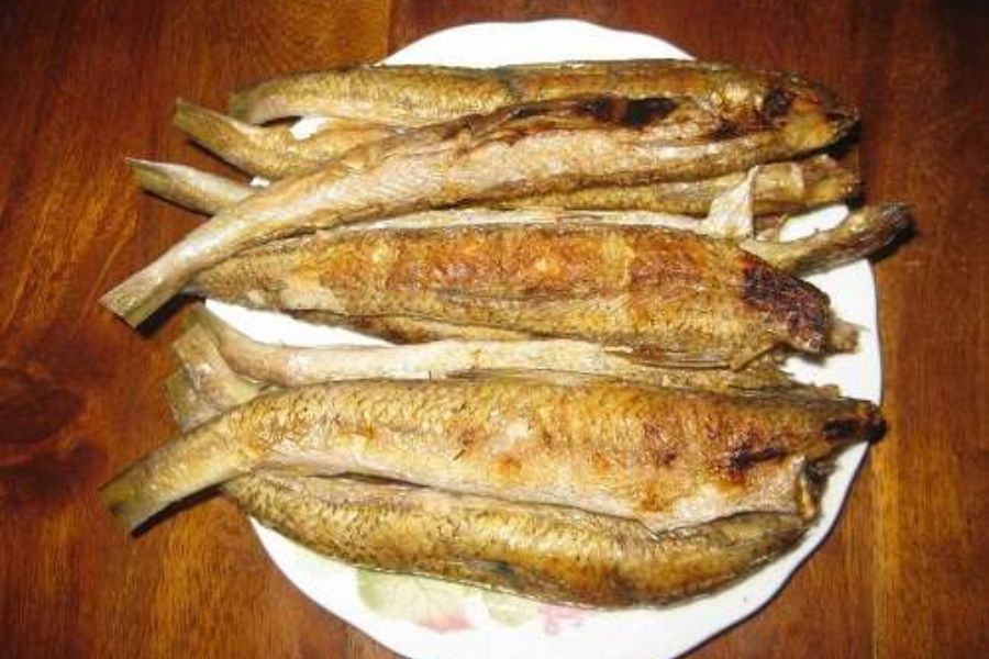 Cá Mối làm món gì Ngon? Giá bao nhiêu? mua, Bán ở đâu 7 ca moi7