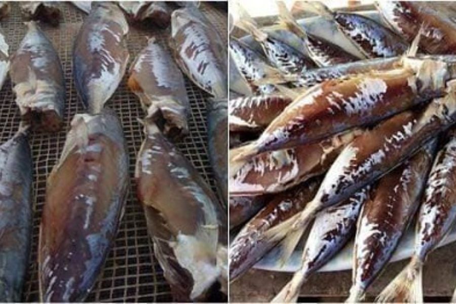 Cá Mối làm món gì Ngon? Giá bao nhiêu? mua, Bán ở đâu 9 ca moi9