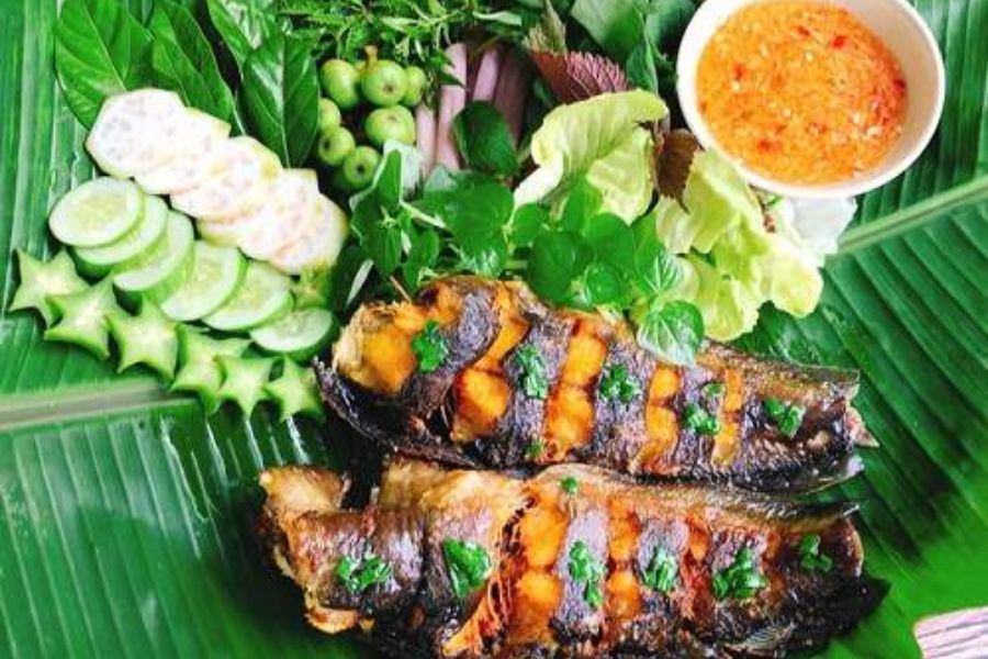 Cá trê Vàng giá bao nhiêu? công nghệ nuôi? mua, Bán ở đâu? 6 ca tre vang6