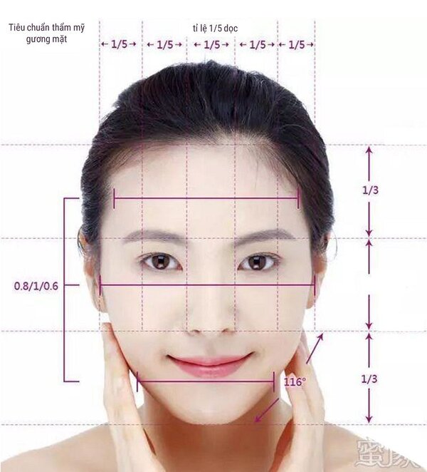 Khuôn mặt đẹp có sự hài hoà cân đối giữa các đặc điểm trên khuôn mặt.