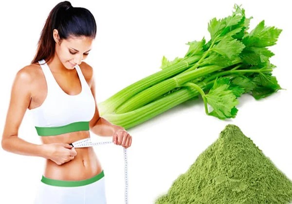 Giảm cân bằng bột cần tây