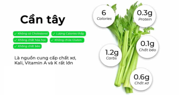 Nước ép cần tây có những dưỡng chất cần thiết cho cơ thể