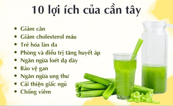 Các lợi ích của việc uống cần tây giảm cân mỗi ngày