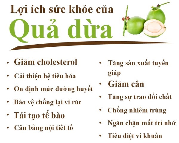 Các lợi ích từ dừa