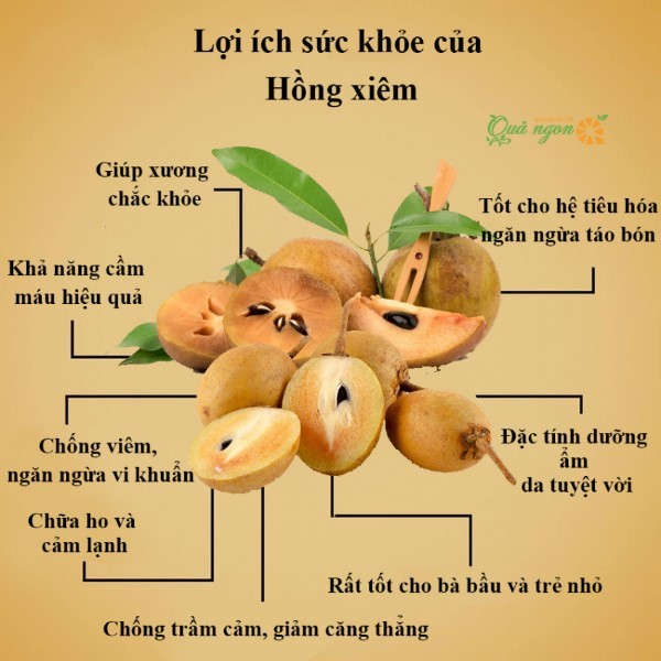 Các lợi ích của sapoche