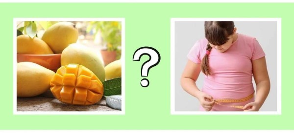 Ăn nhiều xoài có mập không?