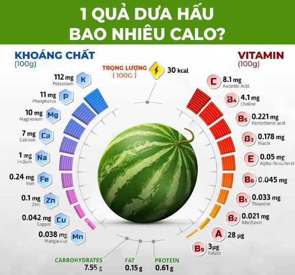 Các thành phần có trong dưa hấu