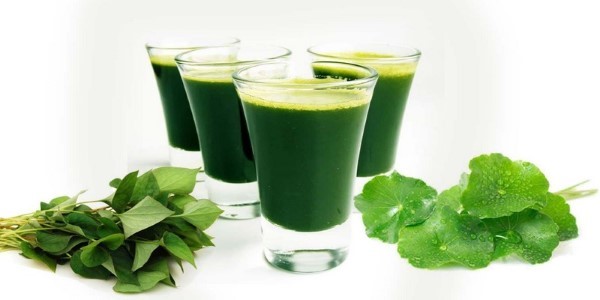Nước ép rau má bao nhiêu calo?