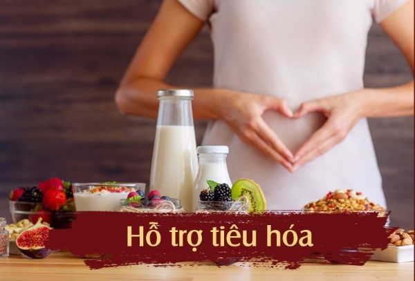 Nước yến ổn định hệ tiêu hoá