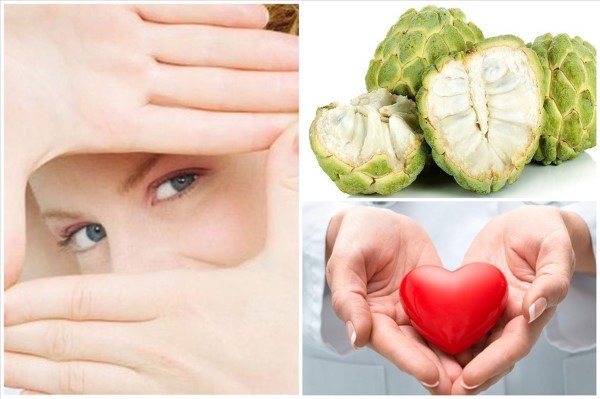 Mãng cầu giúp ngăn ngừa các bệnh lý tim mạch