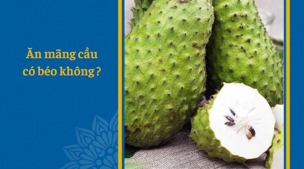 Mãng cầu xiêm ăn có tăng cân không?