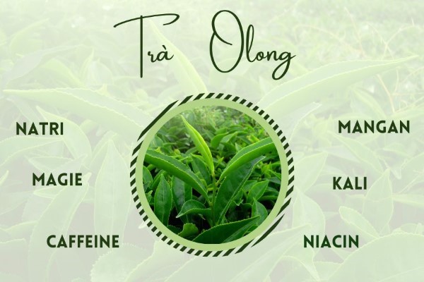 Thành phần dinh dưỡng trong trà ô long